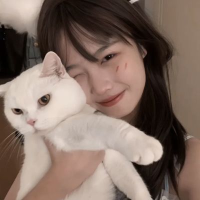 阴阳师哔哩哔哩客户端下载